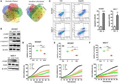 Repositioning Aspirin to Treat Lung and Breast Cancers and Overcome Acquired Resistance to Targeted Therapy